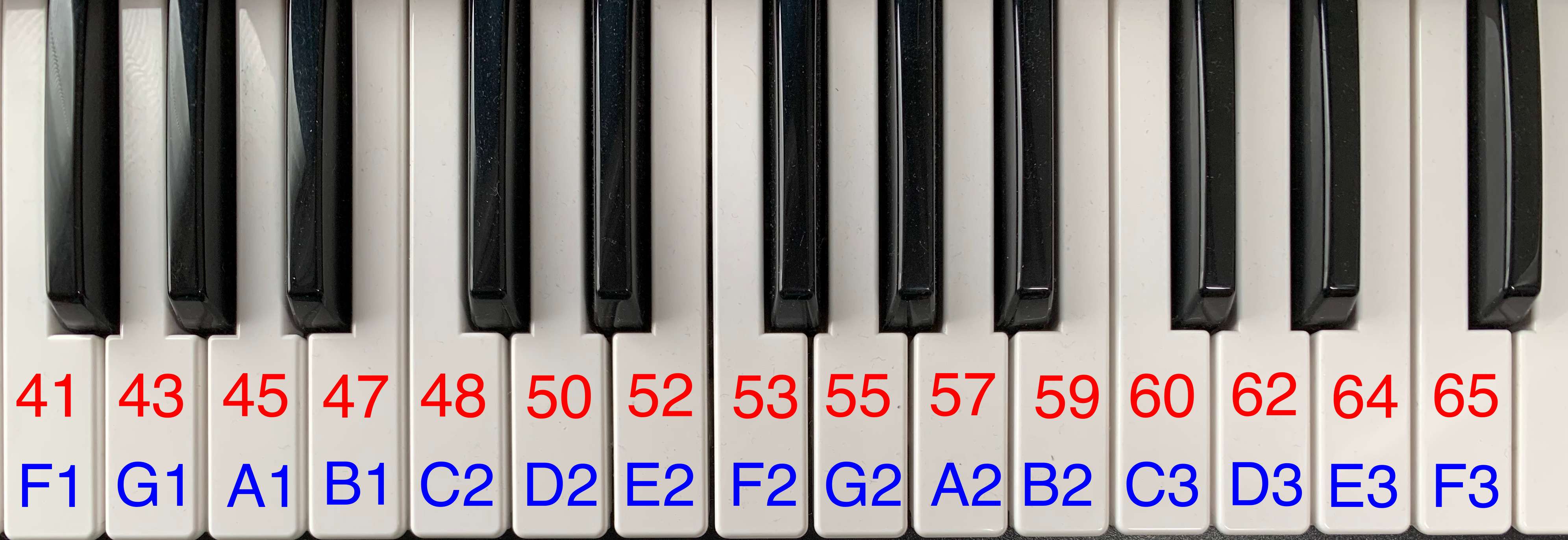 ✨レア YAMAHA MINOR CHORD NO.OS 210 コード8種類 YAMAHA MINOR CHORD NO.OS 210 8 types of codes From Japan | eBay